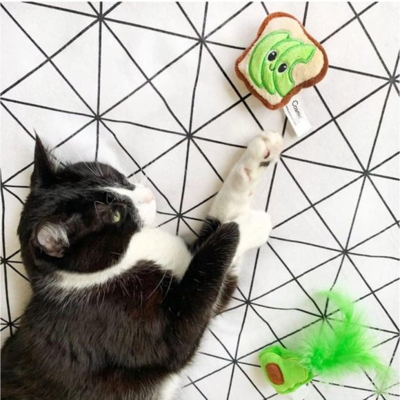 Quirky Kitty Avocado Toast Catnip Kitty Toys - Picture 3 of 7